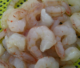 Pud sand shrimp
