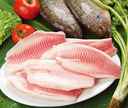 tilapia fillet